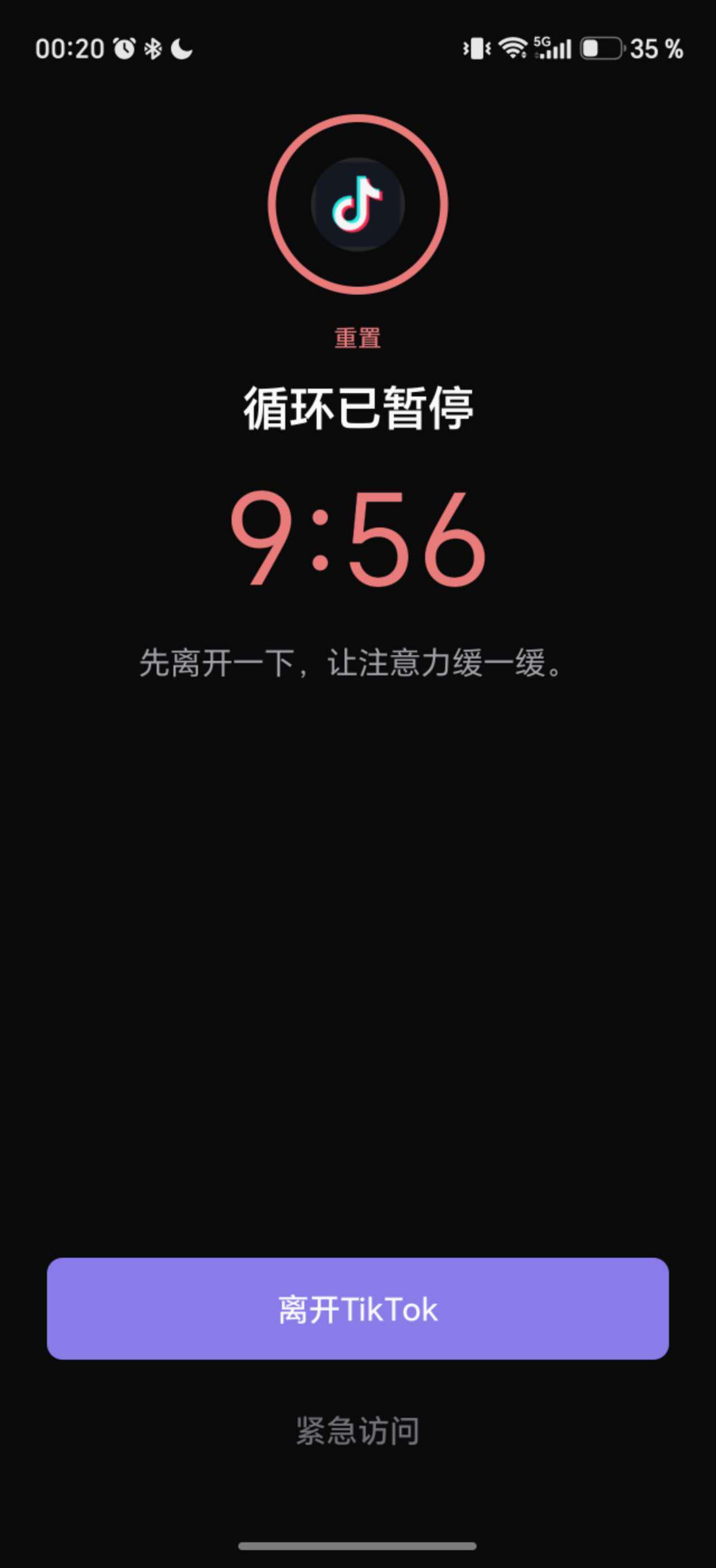 普通访问暂时暂停的中文 LoopCut 重置界面